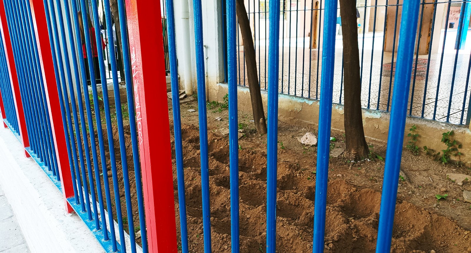 Μικροί Κηπουροί εν Δράση 3
